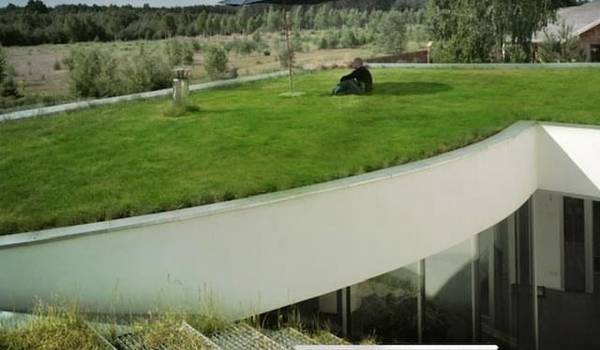 TETTO VERDE: La manutenzione del tetto verde